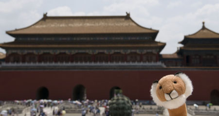 In der Verbotenen Stadt