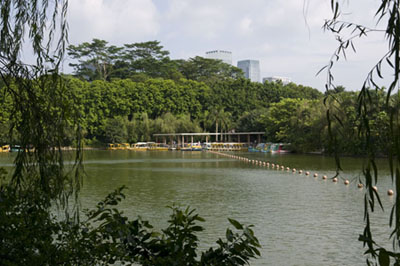 Im Lotuspark in Shenzhen