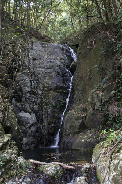 Scatter Fall (im Tai Mo Shan Country Park)