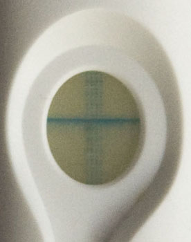 positiver Schwangerschaftstest